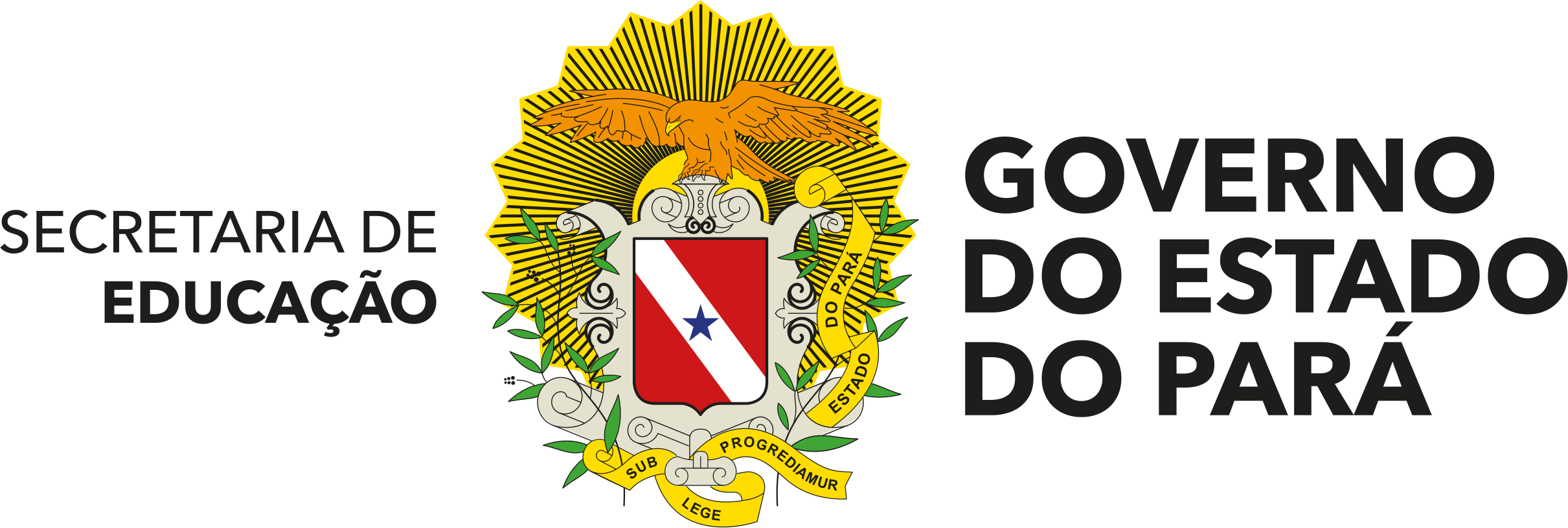 Logo Governo do Pará