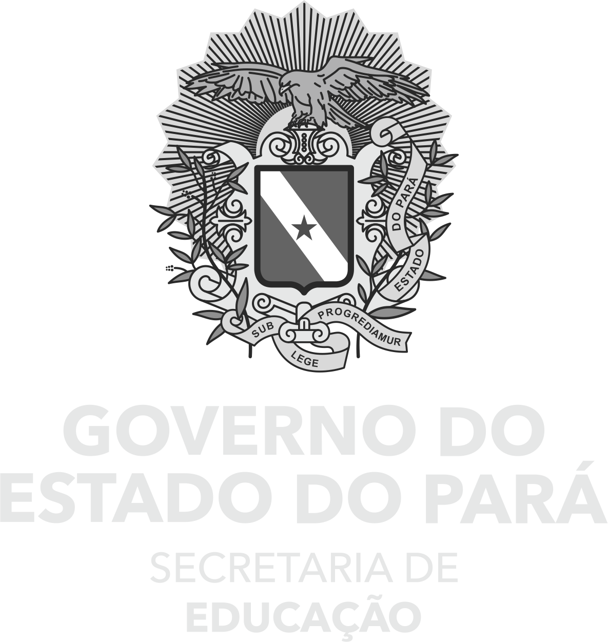Governo do Pará