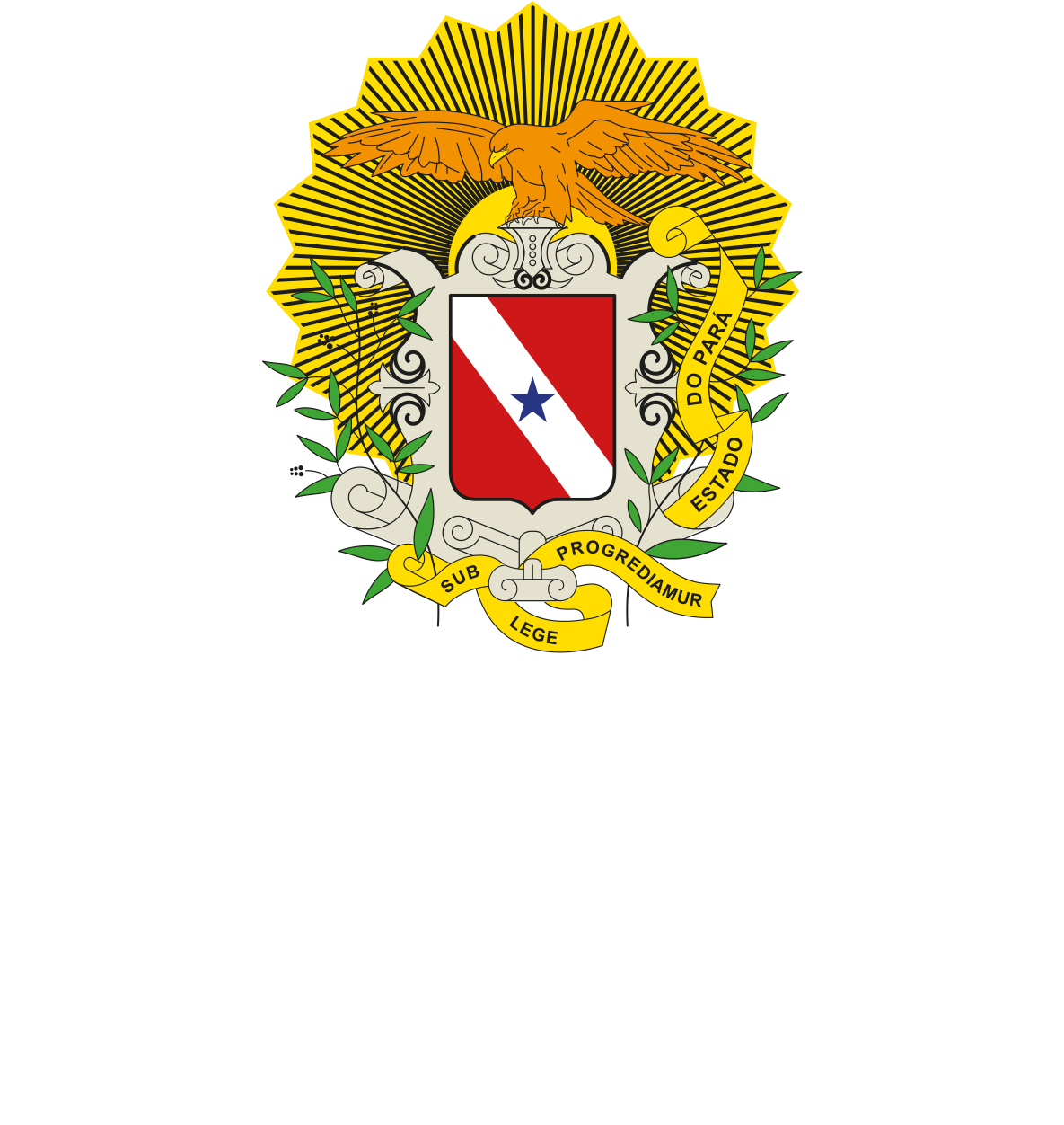 Governo do Pará