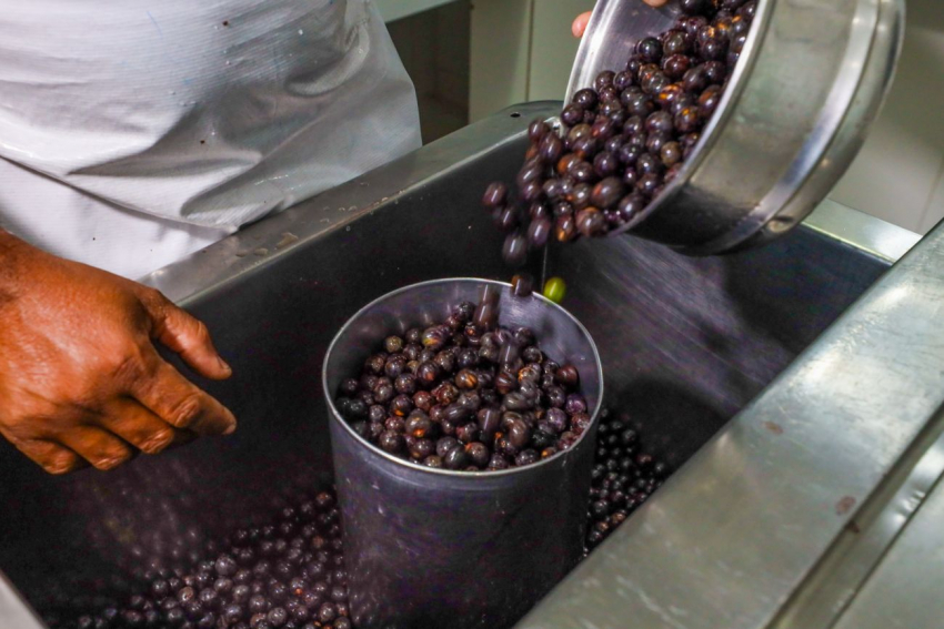Foto: Escolas estaduais do Pará retornam às aulas hoje com açaí na merenda escolar