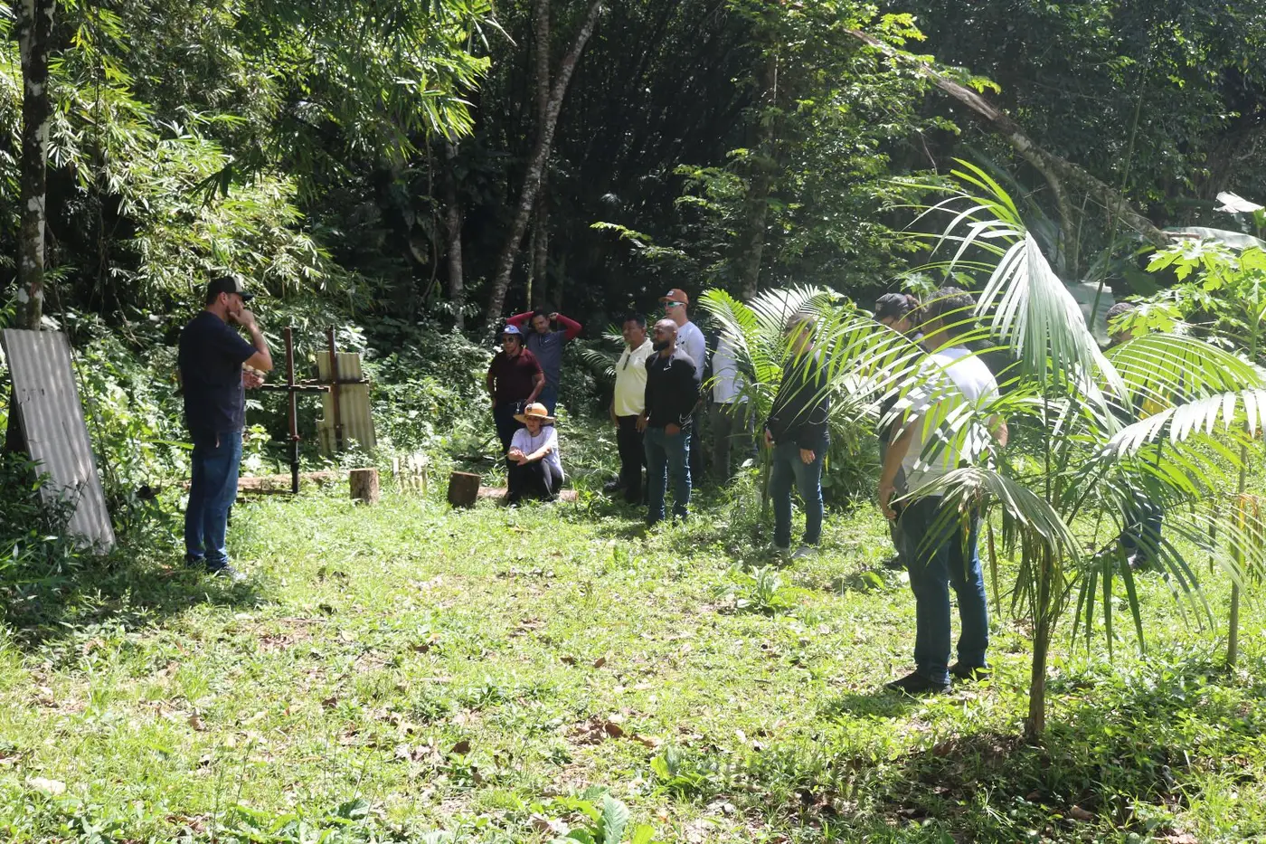 Foto: Vitor Souza / Embrapa