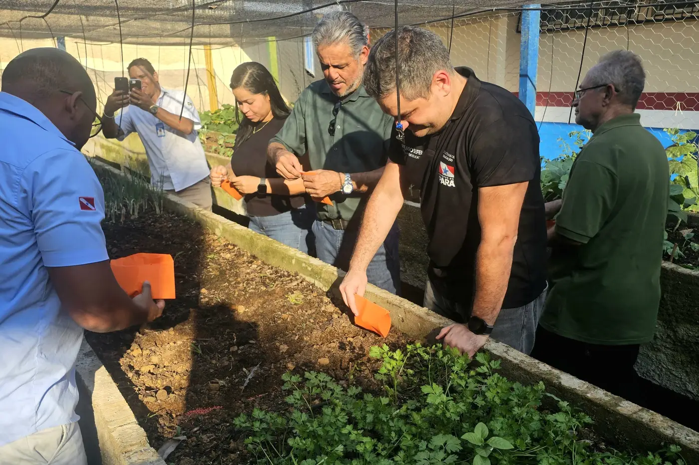 Foto: Divulgação Foto: Divulgação