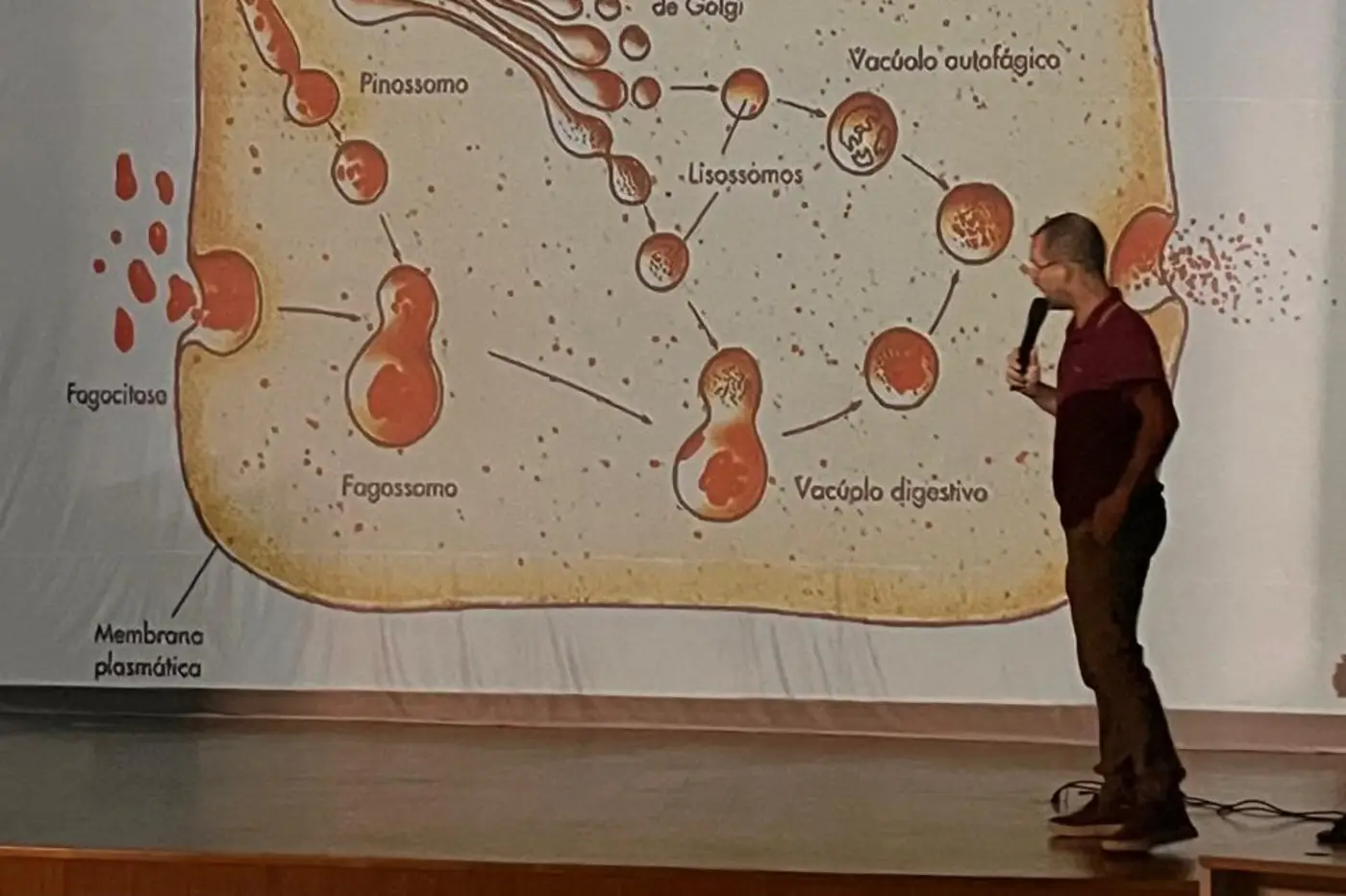 Foto: Divulgação Foto: Divulgação