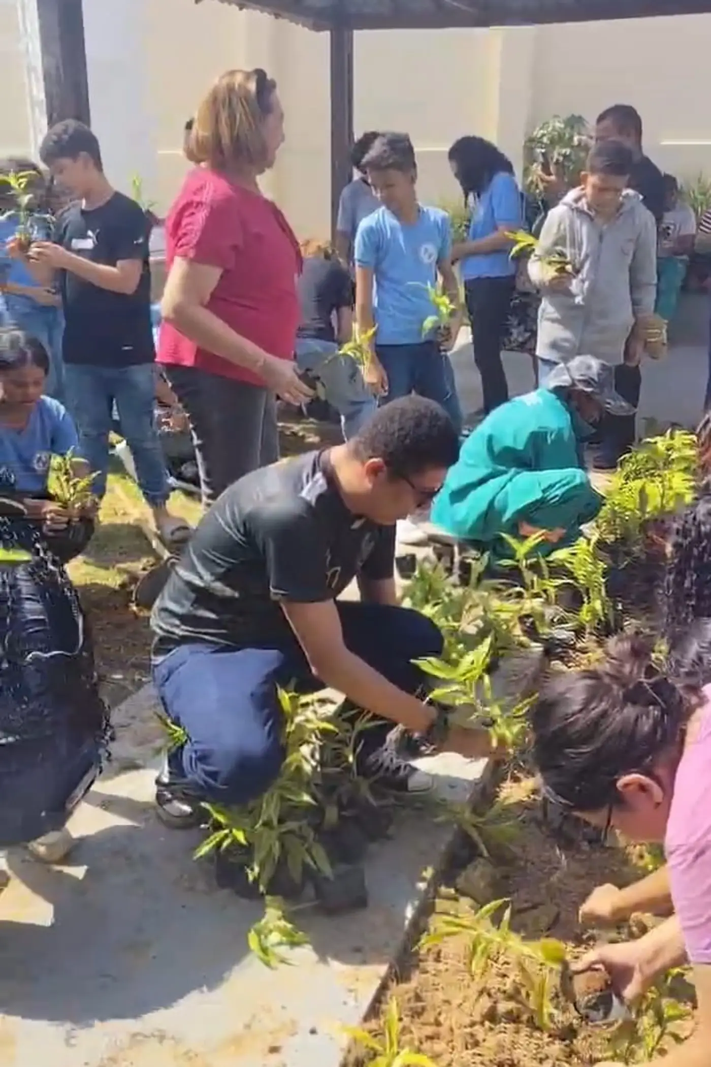 Foto: Divulga&ccedil;&atilde;o