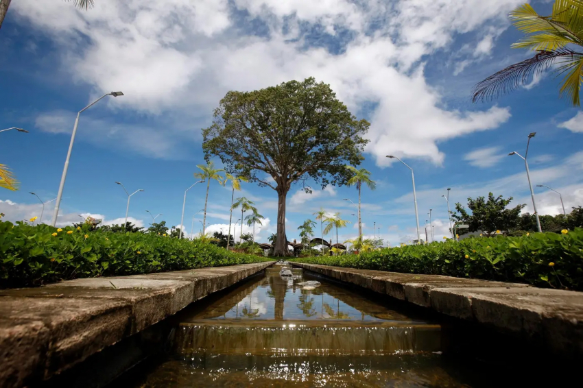Foto: Estado vai construir nova escola com ênfase no meio ambiente no Parque Estadual do Utinga