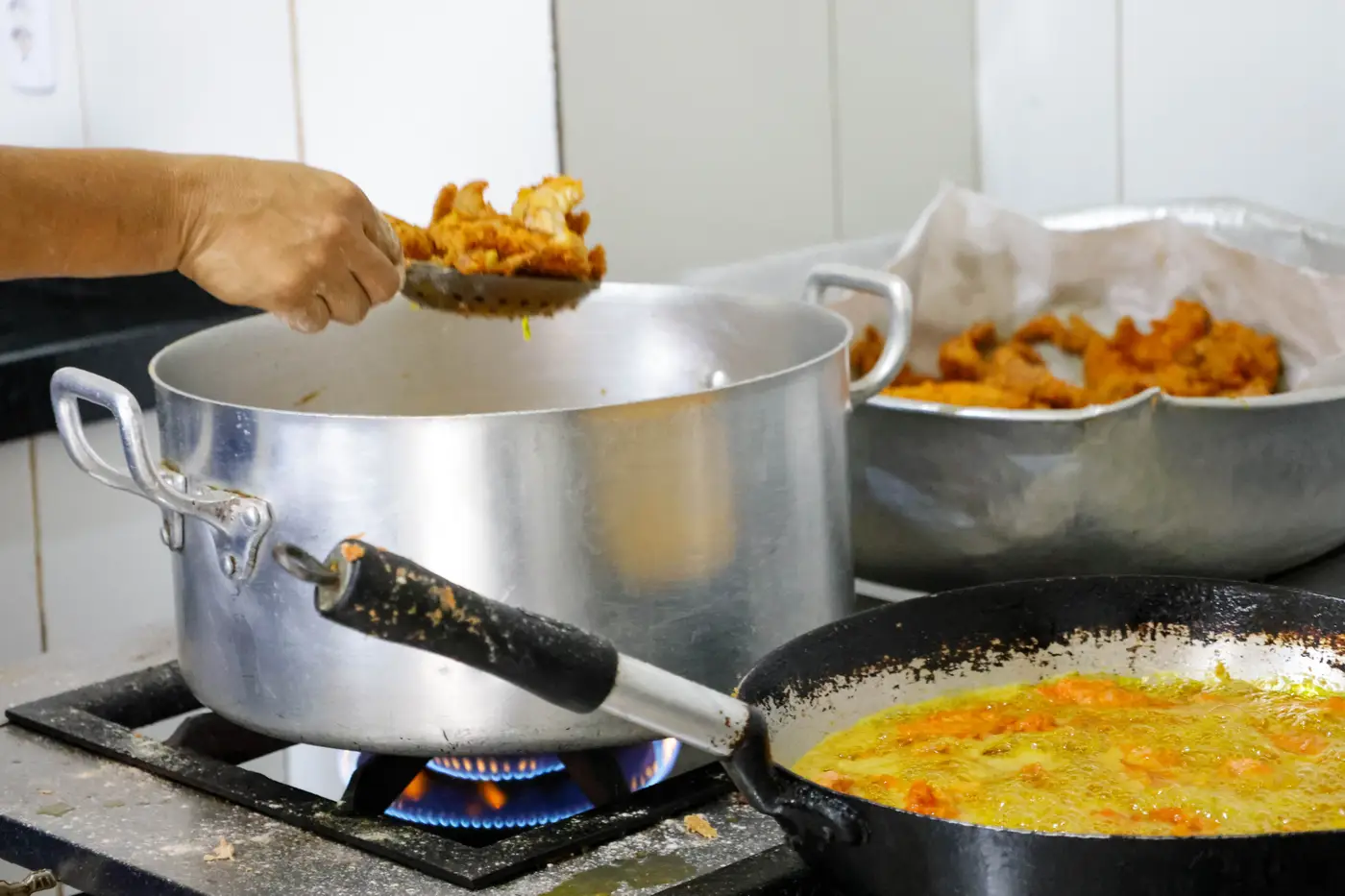 Foto: Pedro Guerreiro / Ag. Pará