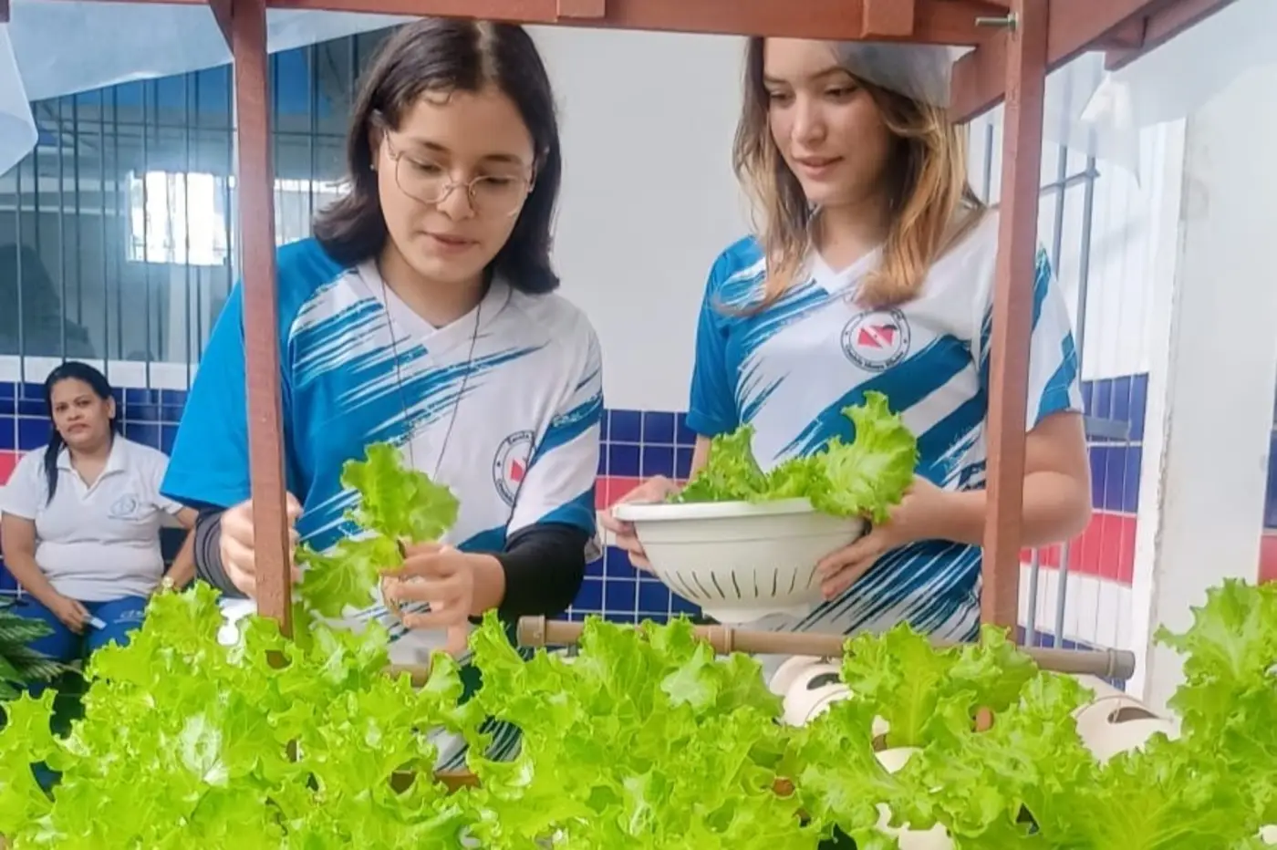 Estudantes se envolvem com naturalidade nas boas práticas de ensino no campo da educação ambiental - Foto: Divulgação Estudantes se envolvem com naturalidade nas boas práticas de ensino no campo da educação ambiental - Foto: Divulgação