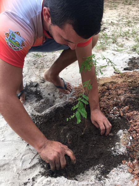 Foto: URE 8 realiza plantio de mudas em 48 escolas estaduais