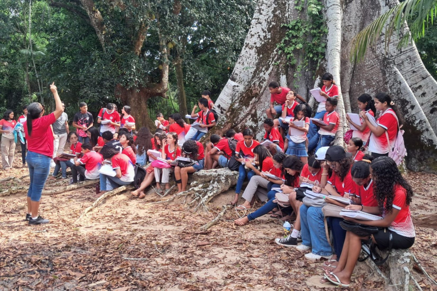 Foto: Projeto-aula destaca a Samaumeira e conecta estudantes à temática ambiental da COP30