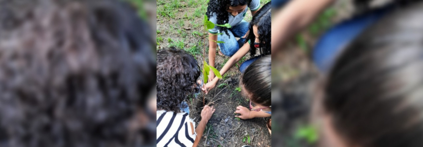 Foto: Projeto “Palmira Verde” promove ações de preservação do meio ambiente nas escolas 