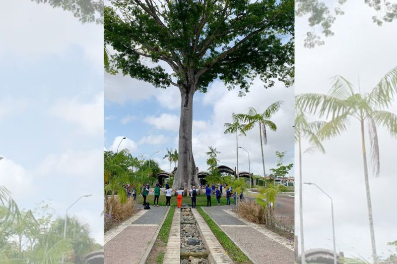 Foto: Alunos de escola pública de Benevides celebram o Dia da Árvore em visita ao Parque Estadual do Utinga