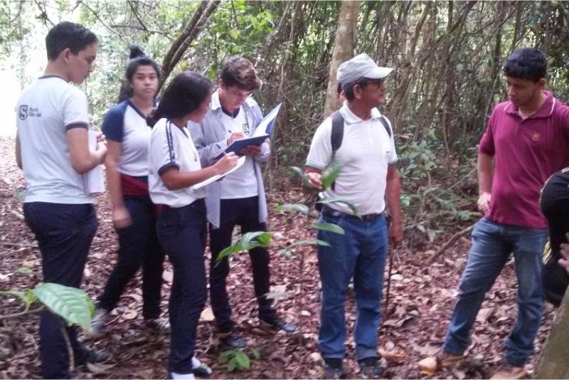 Foto: Projeto Horto Florestal da Escola São José alia educação e preservação da natureza