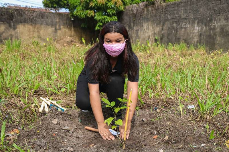 Foto: Semana do Meio Ambiente promove plantio de árvores em escola pública