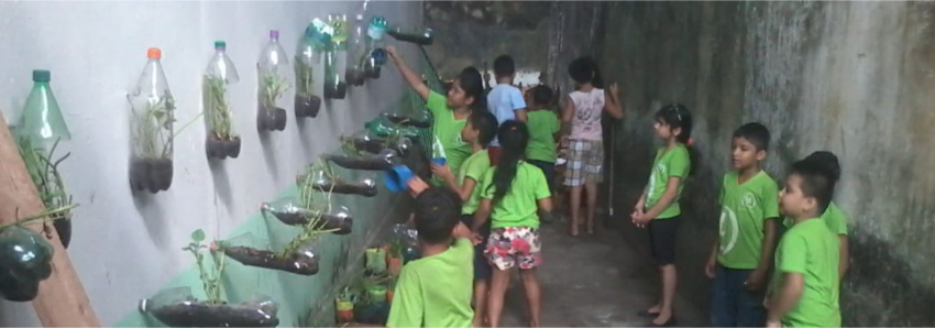Foto: Escolas estaduais desenvolvem projetos de educação ambiental