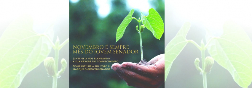Foto: Programa Jovem Senador lança a campanha ´Plante sua Árvore do Conhecimento´