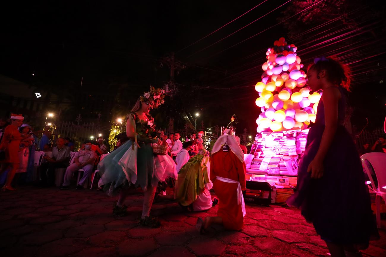 Foto: Rodrigo Pinheiro / Ag.Pará