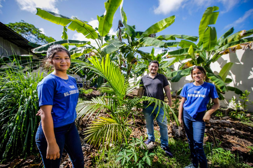Foto: Seduc promove live para apresentar cursos gratuitos de especialização para servidores