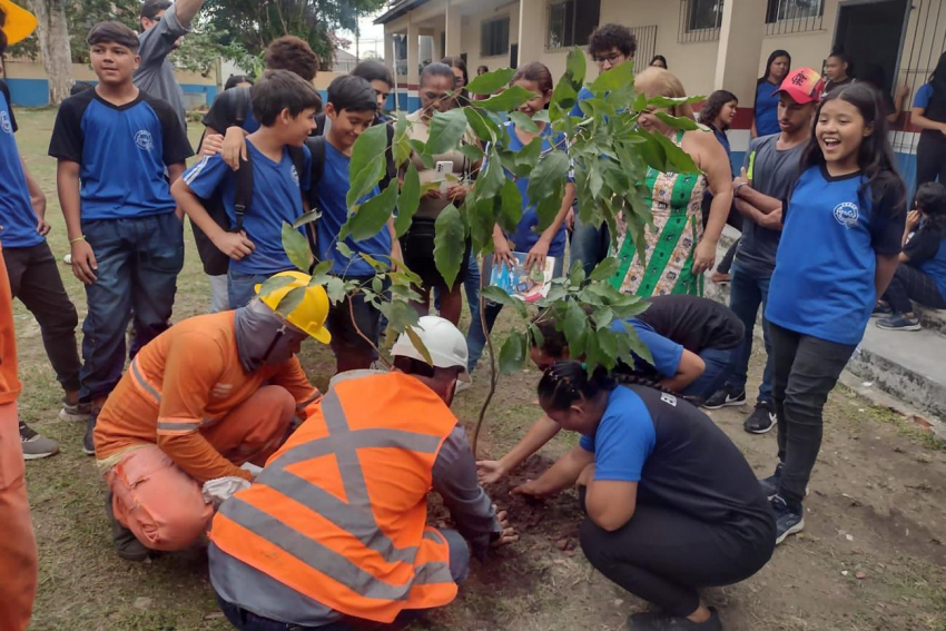 Foto: Escola em Ananindeua recebe palmeira transplantada pelo BRT Metropolitano