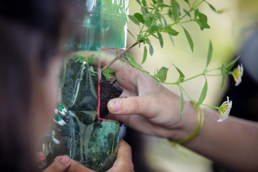 Foto: Escola estadual de Santarém desenvolve projeto de educação ambiental com foco na COP 30