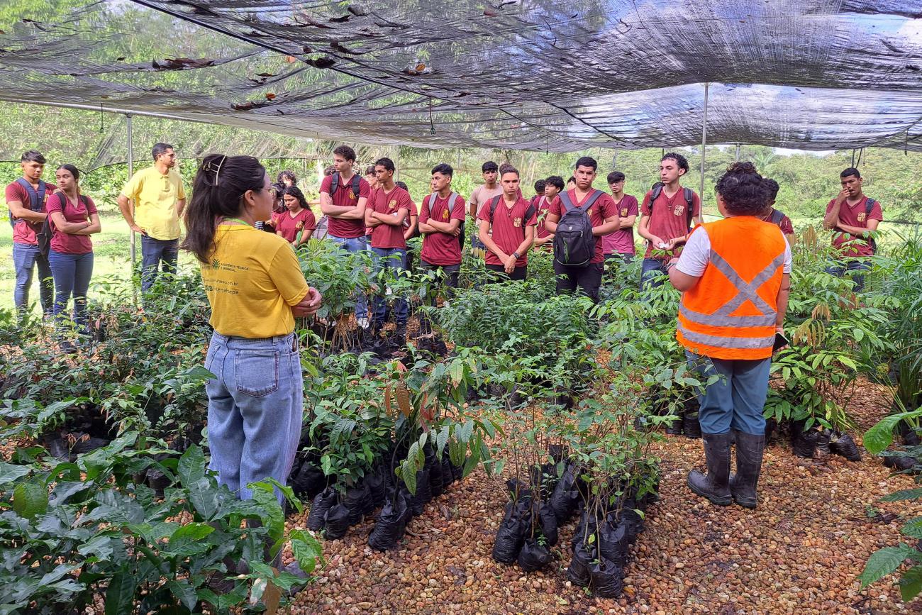 Foto: Instituto Asflora/Divulgação