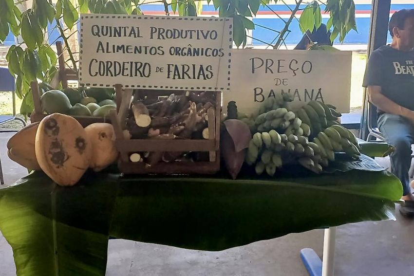 Foto: Escola estadual promove experiência interdisciplinar e interativa no ‘Sábado Letivo’