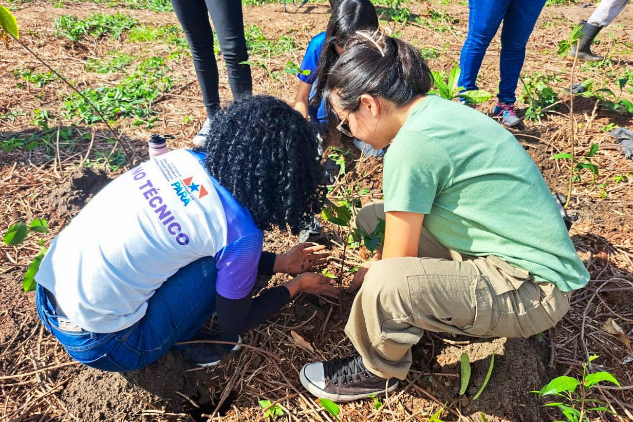 Foto: Instituto Flora / Divulgação