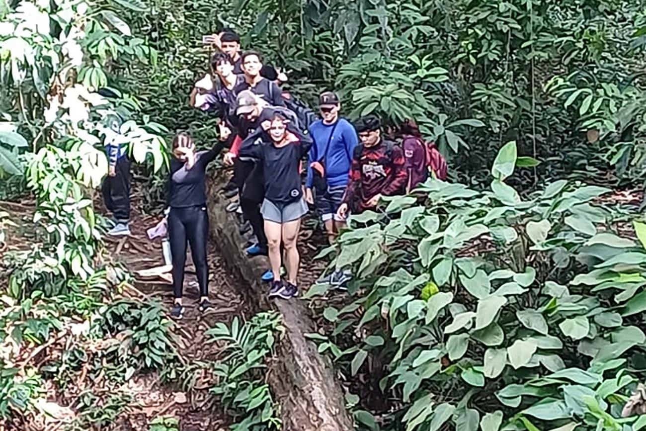 Foto: Divulga&ccedil;&atilde;o