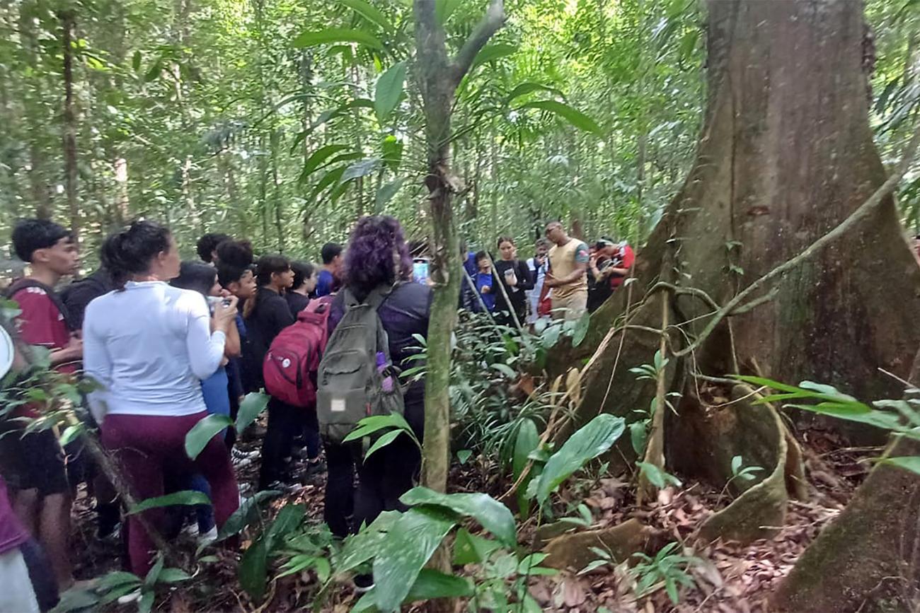 Foto: Divulga&ccedil;&atilde;o