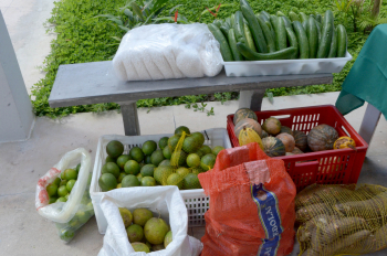 Foto: Seduc recebe os produtos da Feira da Agricultura Familiar, da Emater | Fotógrafo: Eliseu Dias