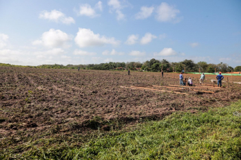 Foto: Foto: Marcos Santos / Ag. Pará