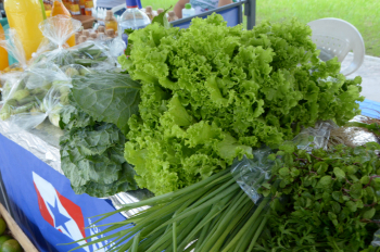 Foto: Seduc recebe os produtos da Feira da Agricultura Familiar, da Emater | Fotógrafo: Eliseu Dias