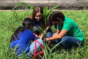 Notícia: Ideflor-Bio inicia ‘Projeto Regenerar’ com plantio de mudas em escola estadual, em Belém